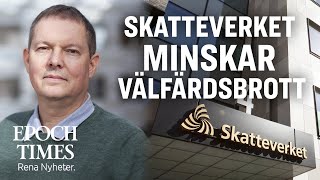 Skatteverkets storstädning minskar välfärdsbrott [upl. by Ahcsat]