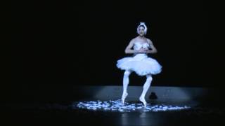 Les Ballets Trockadero de Monte Carlo  The Dying Swan [upl. by Aenahs]