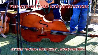 The Strzelecki Stringbusters in Korumburra [upl. by Etteniuqna82]