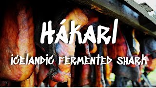 Hákarl  Icelands National Dish of Fermented Shark [upl. by Dewhirst]