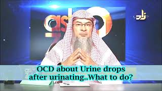 OCD about urine drops after urinating what to do  Sheikh Assim Al Hakeem [upl. by Bethesde]