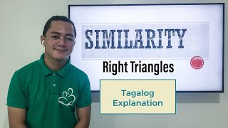 Similarity of Right Triangles Grade 9 Quarter 3 [upl. by Lytsirk201]