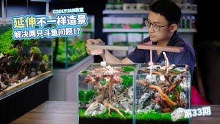 延伸不一样的造景解决两只斗鱼问题 EP33 [upl. by Lanctot]