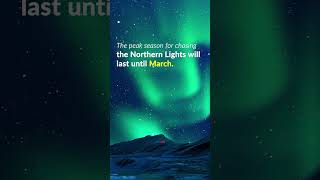 Scandinavia Northern Lights in 2024  Dont Miss the Magic of the Northern Lights travel shorts [upl. by Schnurr]