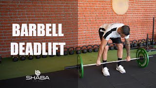 BARBELL DEADLIFT EGZERSİZİ NASIL YAPILIR  HOW TO BARBELL DEADLIFT [upl. by Oileve]