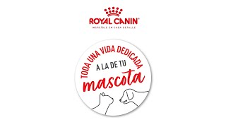 Royal Canin  Toda una vida dedicada a la de tu mascota [upl. by Ellezaj]