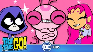 Best of Silkie 🐛  Teen Titans Go  dckids [upl. by Yrocal]