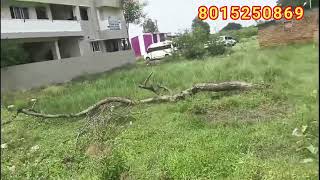 ANNANUR JOTHINAGAR EMPTY LAND SALE 36×70 emptyland landsale chennailandforsale [upl. by Adnohsad645]