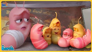 LARVA CARTOONS FULL EPISODE BIG FAMILY  CARTOONS FULL MOVIE  FUNNY CARTOON COMPILATION [upl. by Llewxam]