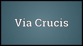 Via Crucis Meaning [upl. by Einaj680]