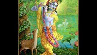 Chaganti Bhagavatham  26 Sri krishna jananam [upl. by Nord]