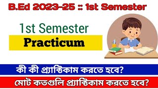 BEd 1st Semester Practicum  How many Practicum  কী কী প্র্যাক্টিকাম লিখতে হবে [upl. by Fosque216]