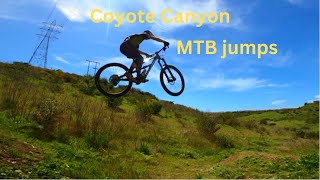 Black Mountain MTB Jumps amp Flow  Coyote Canyon [upl. by Falconer]