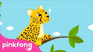 🐆Le Guépard  Chansons dAnimaux  Pinkfong Baby Shark en français  Chansons pour Enfants [upl. by Annairda]