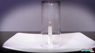 32 Cool Science Experiments to do at Home  Science Projects for Kids  Educational Videos by Mocomi [upl. by Sualohcin574]