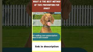 What is the best method of tick prevention for dogsshorts [upl. by Valene]