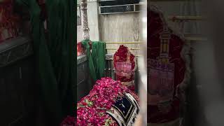 mira datar dargah sharif New qawwali whatsapp 😍status video 📷 dargah sharif contact 917041705010 [upl. by Fabian]