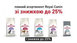 Royal Canin для котів зі знижкою до 25 в зоомагазині PetChoice [upl. by Lirba236]