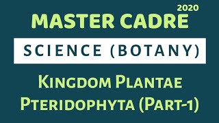 Punjab Master Cadre 2020  General Characters of Pteridophyta  Class XI [upl. by Nnylyar]