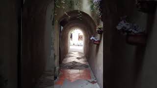 Val Quirico videosniños niños valquirico [upl. by Boucher827]