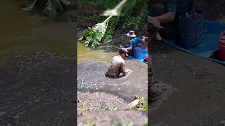 Fishing Videos Máy Kích Cá Mạnh Nhất Hiện Nay shorts kichca fishingvideos [upl. by Sergei]