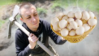 CULTIVER DES CHAMPIGNONS  Dans la nature [upl. by Ire]