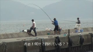 福岡県糸島市船越漁港釣り場紹介。の巻 [upl. by Abbot325]