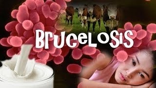 Cómo Combatir la Brucelosis  TvAgro por Juan Gonzalo Angel [upl. by Gitel]