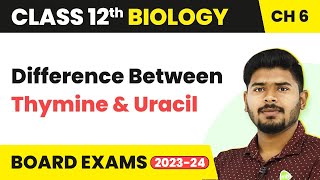 Class 12 Biology Ch 6 Difference Between Thymine and Uracil Molecular Basis of Inheritance 202223 [upl. by Spiegel550]