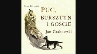 PUC BURSZTYN I GOŚCIE 6 6 Lektura do słuchania Jan Grabowski [upl. by Bonine987]