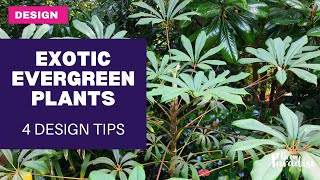 Adding EVERGREEN plants to your garden  4 design tips [upl. by Yenahc]