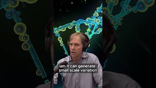 The Limits of Neodarwinism Stephen Meyer Discusses Evolutionary Debates  Joe Rogan 2008 [upl. by Ayit]