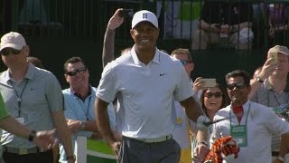 Tiger Woods plays No 16 during proam at Waste Management [upl. by Eselahs]