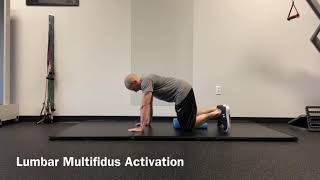 Lumbar Multifidus Activation [upl. by Tronna]