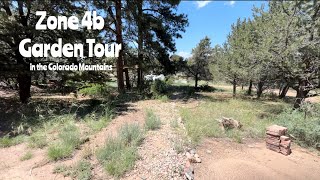 Early Spring Garden Tour in Zone 4b  Colorado Mountain Garden Paths amp Expansion Plans [upl. by Lishe]