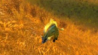 WESTFALL BOAR GENOCIDE ft Dufenstien the worlds bravest druid [upl. by Aiykan]