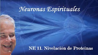 NE 11 Nivelación de Proteínas con EDUARDO SALAZAR AutorMentor Neuronas Espirituales NEs [upl. by Icnan]