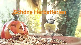 Schöne Herbstferien [upl. by Lecrad566]