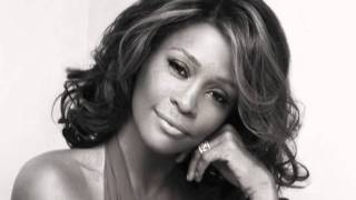 Whitney Houston vs Spike  Respect Susan [upl. by Keelby725]