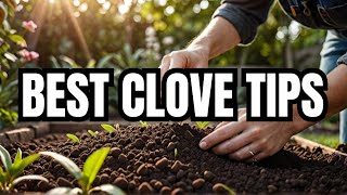 Top 10 Ways to Cultivate Clove [upl. by Tremaine]