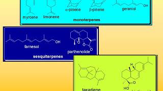 31 Terpenes and Terpenoids [upl. by Ericka]