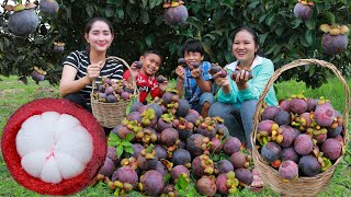 Pick Fresh Mangosteen For Eating  Happy Eating Fruit From the Tree  Fresh And Sweet Mangosteen [upl. by Aronos]