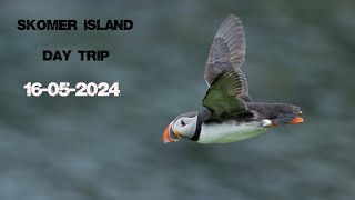 Skomer Day Trip 16052024 [upl. by Leval]