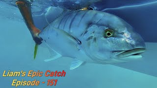 Liams Epic Catch Fishing For Giant Golden Trevally in Hervey Bay fishing fishingvideo fish [upl. by Paresh]