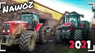 NAWÓZ NA PSZENICE 2021  GRABIK  MASSEY FERGUSON 8480  LUBUSKIE [upl. by Lanuk]