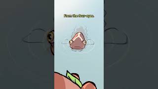 Largescale Foureyes 👀👀🐟 animation original cartoon [upl. by Khajeh]