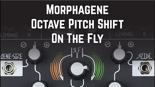 TIPS amp TRICKS  How to pitch shift Morphagene in octaves on the fly [upl. by Drawyeh]