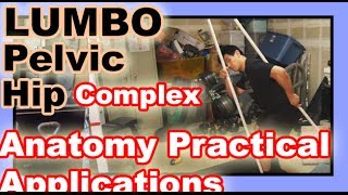 Anatomy Review Lumbo Pelvic Hip complex  Nerdy NASM Biomechanics stuff [upl. by Anotyal]