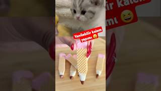 YENİLEBİLİR KALEM Mİ 🫨okul tiktokviral tiktok shortsvideo shortsfeed youtubecommunity cat [upl. by Leod]