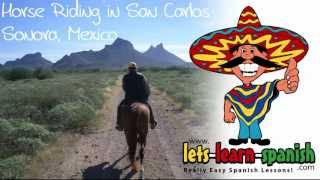 Learn Spanish Essentials 4 LetsLearnSpanishcom quotI Like Itquot  A WARNING [upl. by Diba]